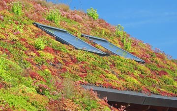 Ravenfield living roof systems