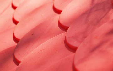 Ravenfield plastic roof costs